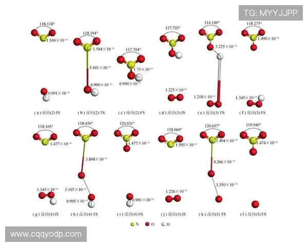 西安排球队在锦标赛中的速度表现分析与点评 西安排球队在锦标赛中的速度表现分析与点评