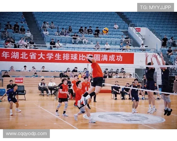 武汉排球队在冠军赛中的个人能力分析与表现评估