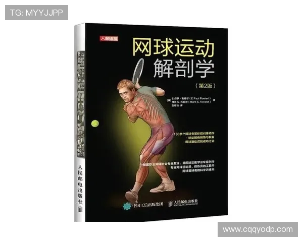 初学者必看网球入门技巧与个人能力提升全攻略